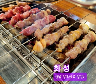 향남양꼬치양갈비 이미지