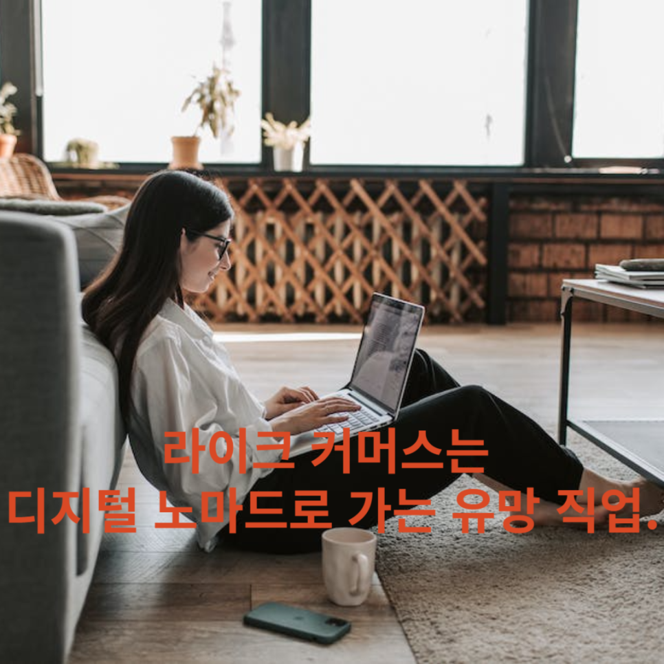 노마드커머스 이미지
