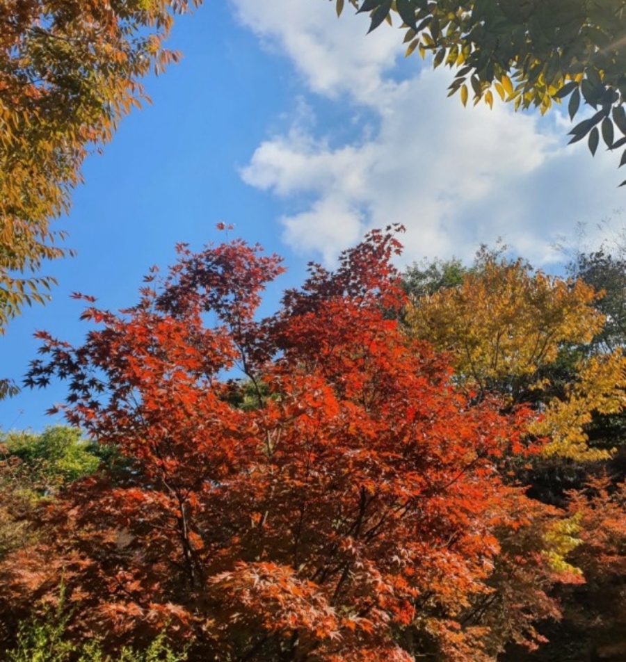 천보wellness캠핑장 이미지
