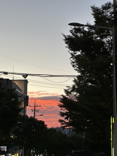 라나맘 이미지