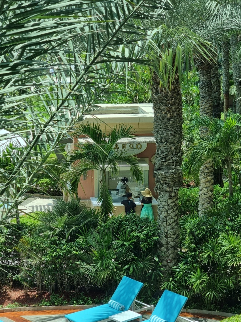 더 팜 A(The Palm A) 이미지
