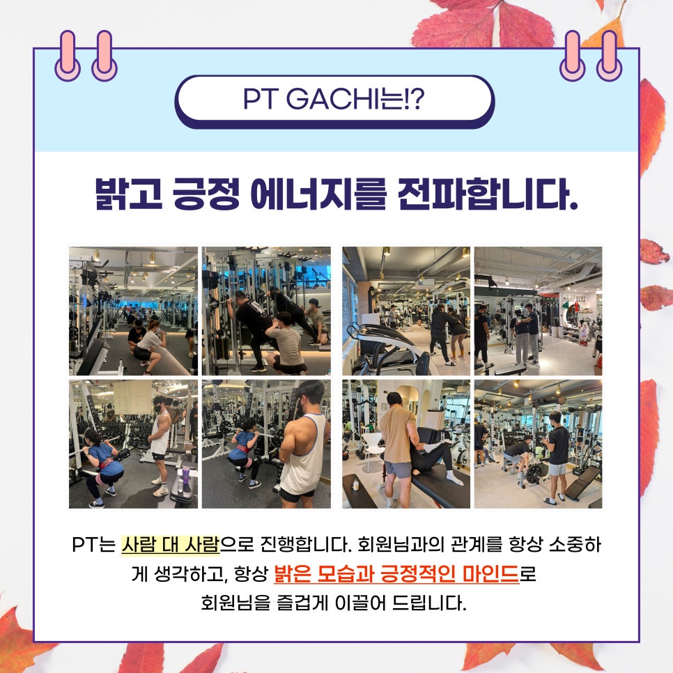 같이,가치(Gachi Gachi) 이미지