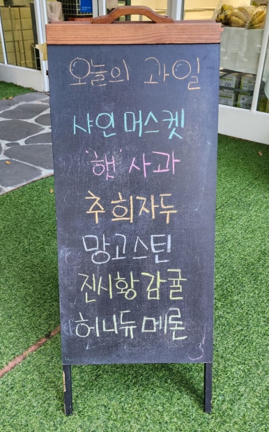 리코베리 이미지