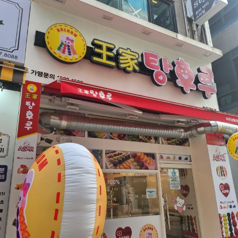 왕가탕후루파주금릉 이미지