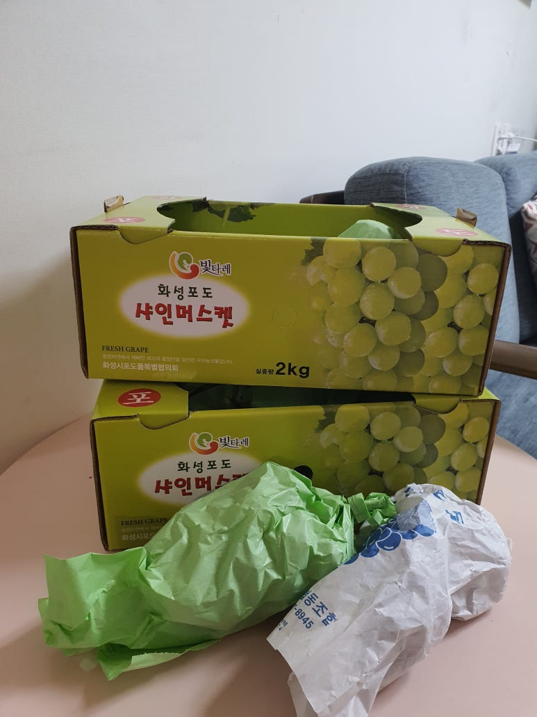 오제제신 이미지