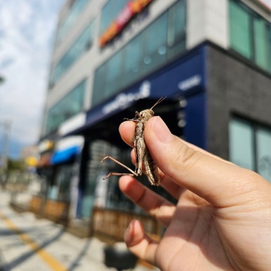 멕시카나명천점 이미지
