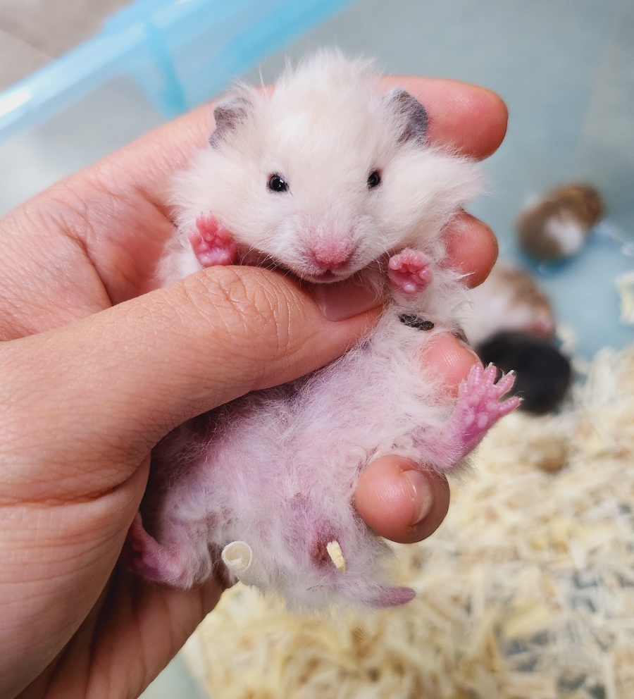 (주)모프 이미지