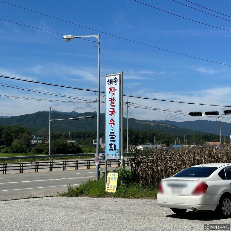 해송장 이미지