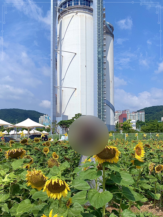 청정맛집 이미지