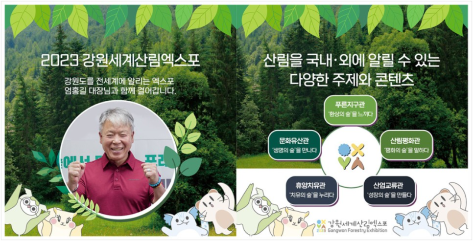 코지마강원총판 이미지