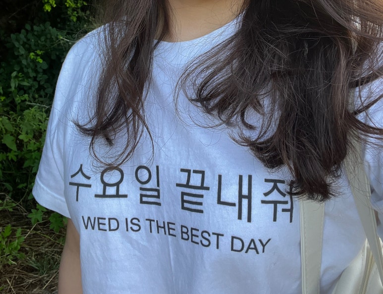 브런치그램 이미지