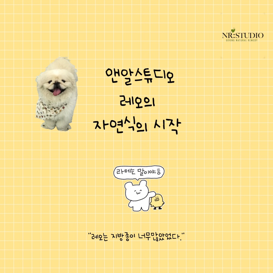 네추럴레매디 이미지