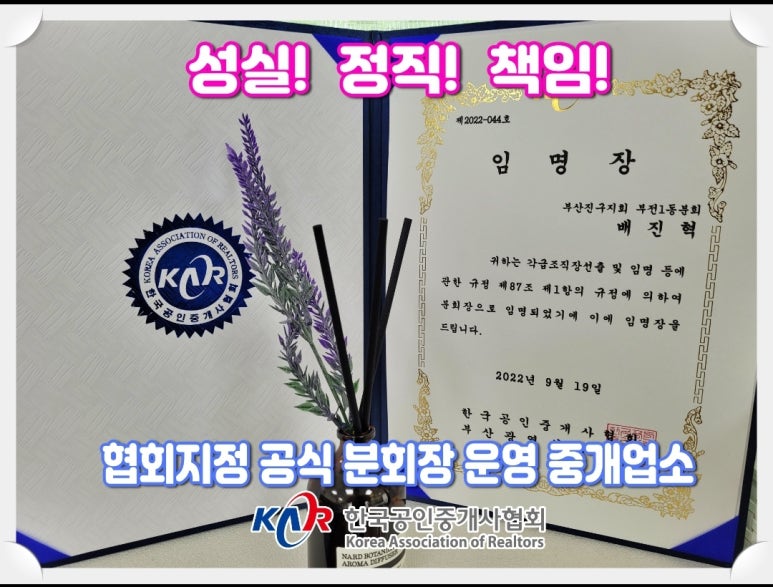 피터팬 광고 이미지