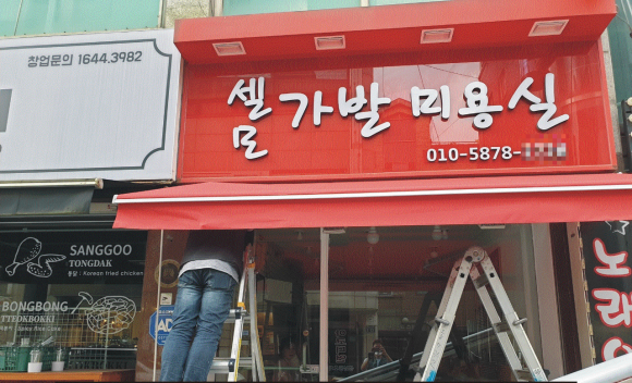 셀모가발 이미지