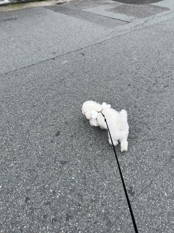복현정형외과의원 이미지