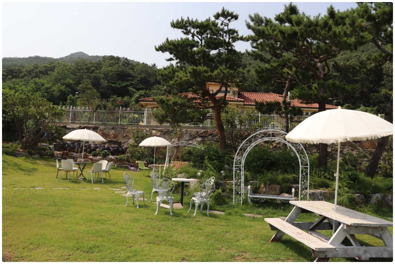 마니산도토리 이미지