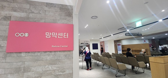 대신성모안과 이미지