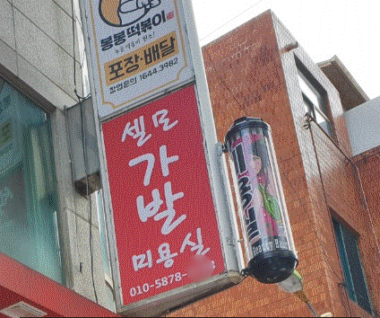 셀모가발 이미지