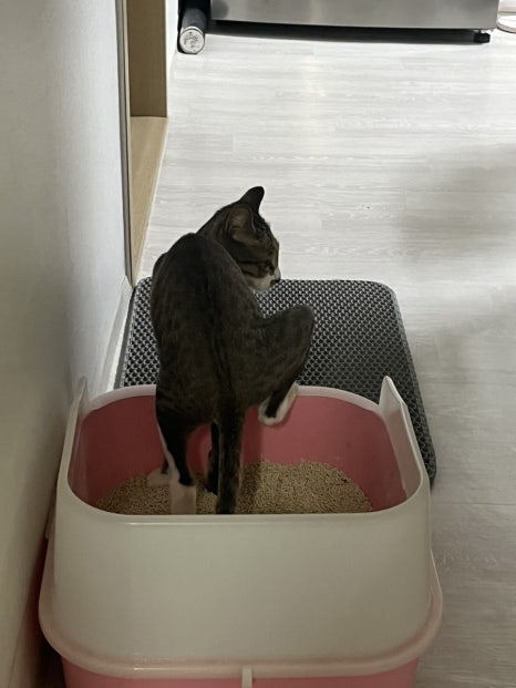 뉴제이마트 이미지