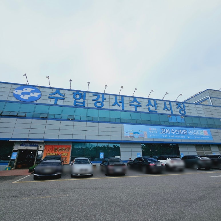 대한청과야채 이미지