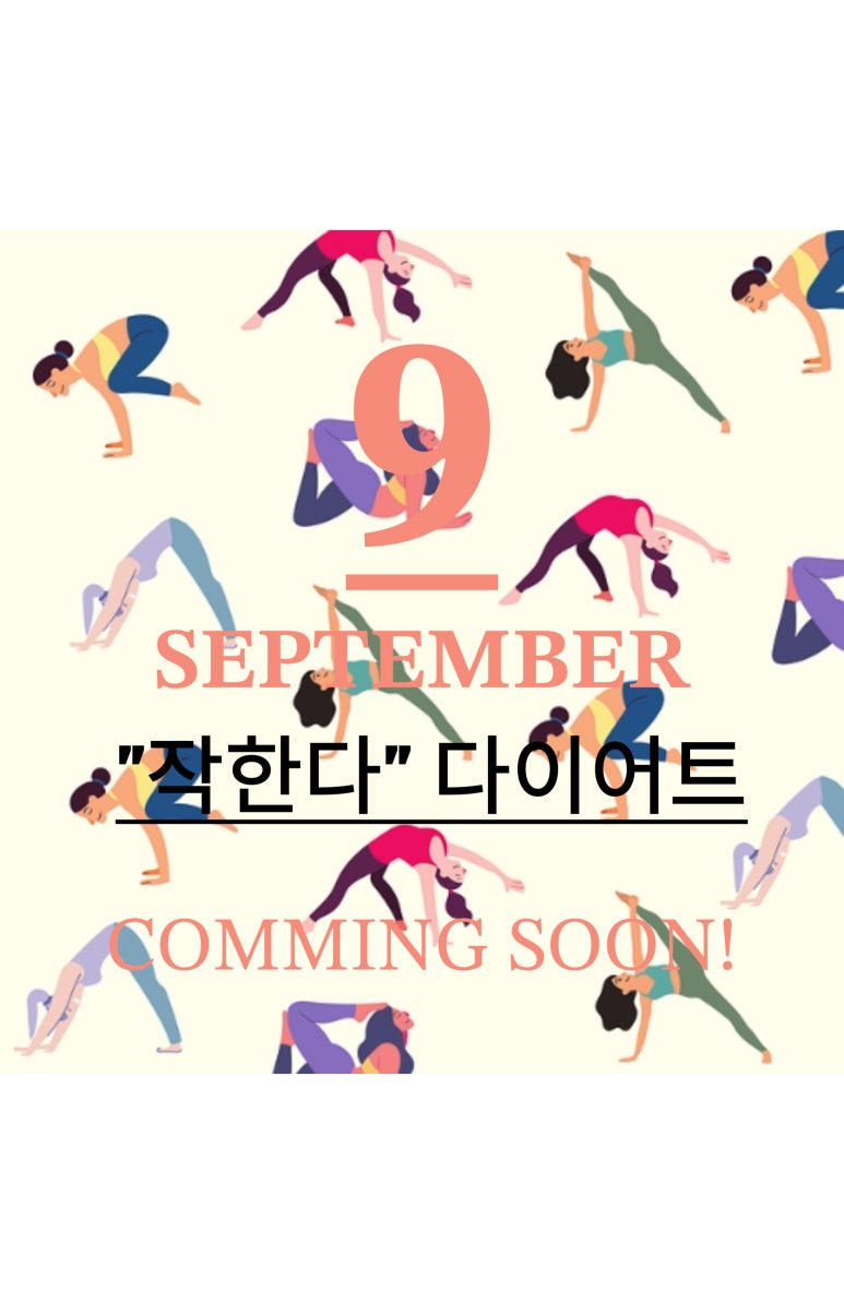 씨케이짐송파 이미지