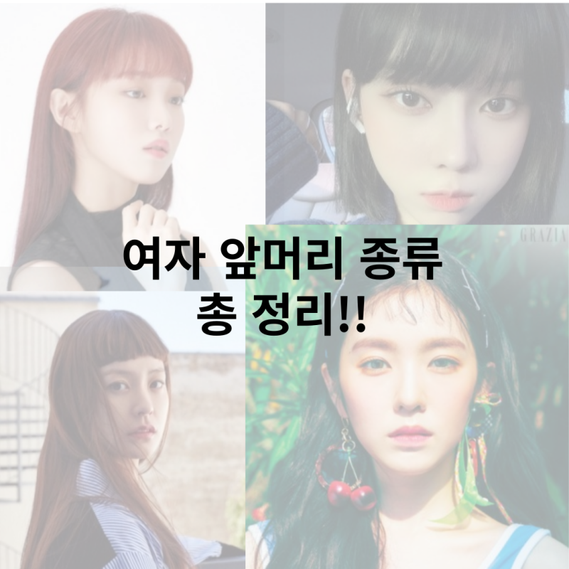 담따 이미지