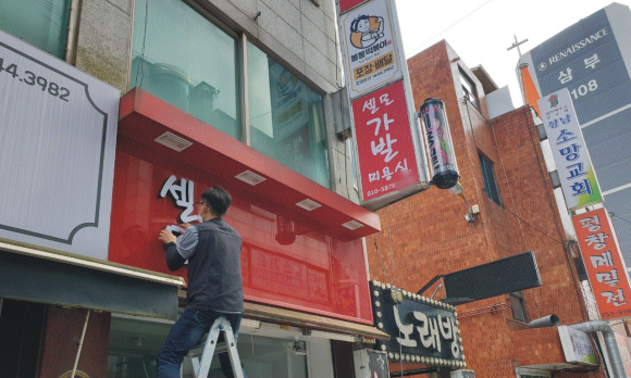 셀모가발 이미지