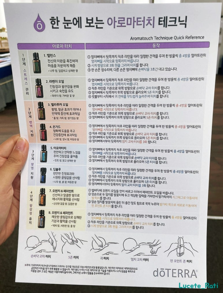 샤테라피 이미지