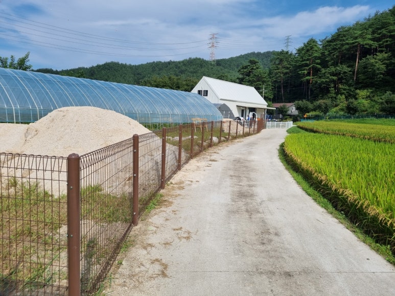 드바로티 이미지