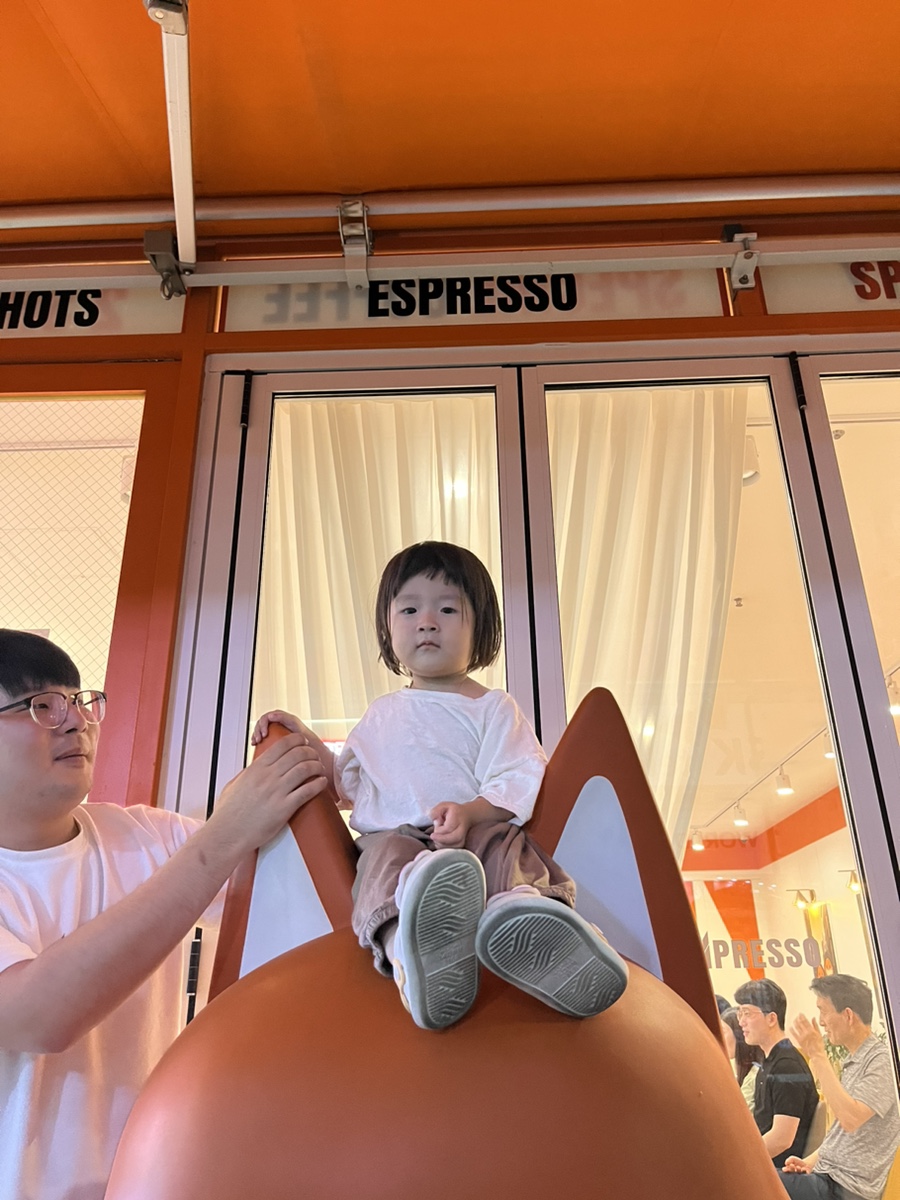 콩부리네 이미지
