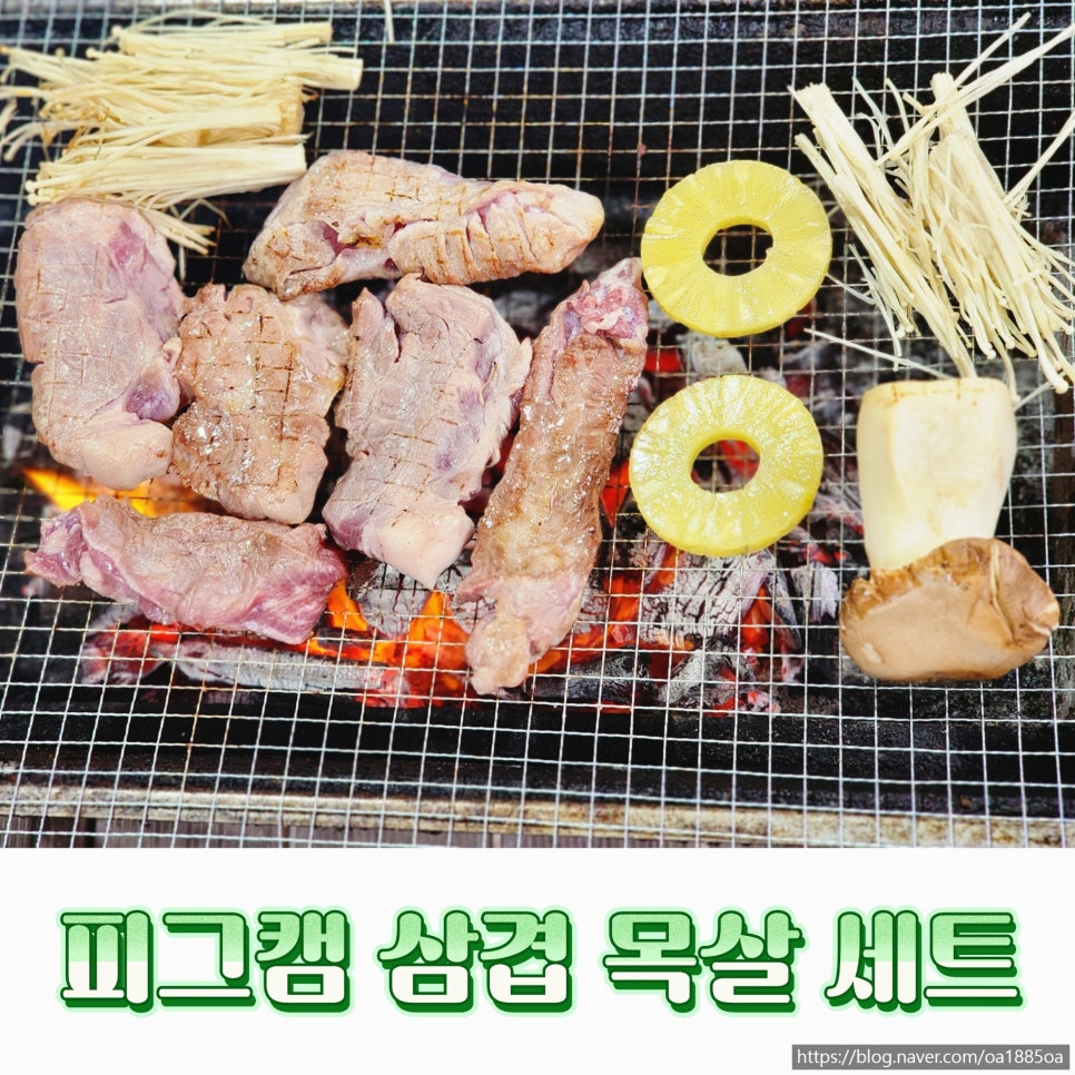 피그캠 이미지