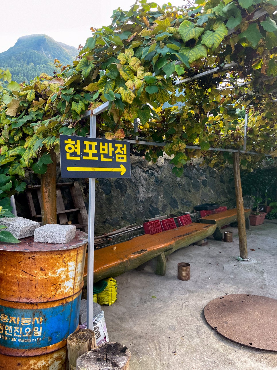 교동중화반점 이미지
