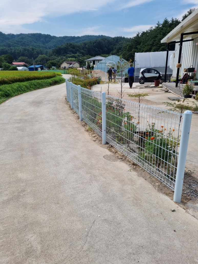 드바로티 이미지