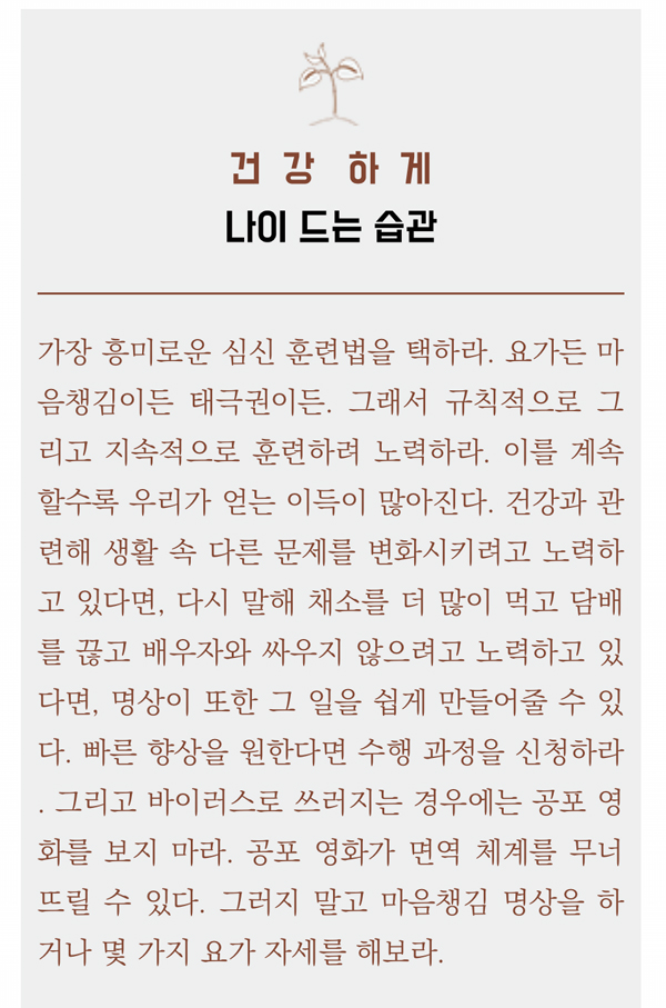 나이스카 이미지
