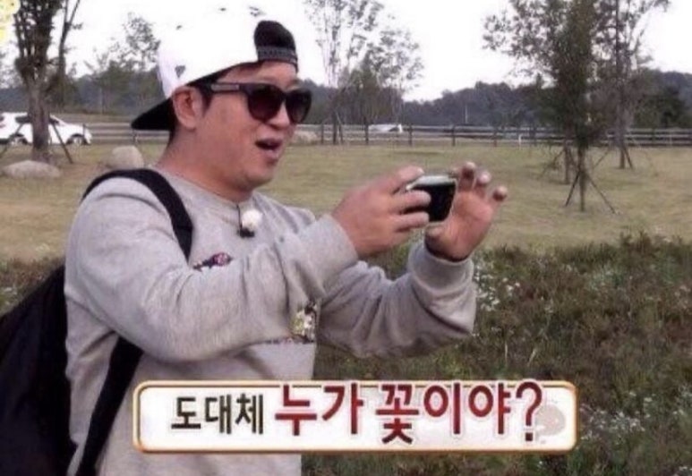 이팔청춘 이미지