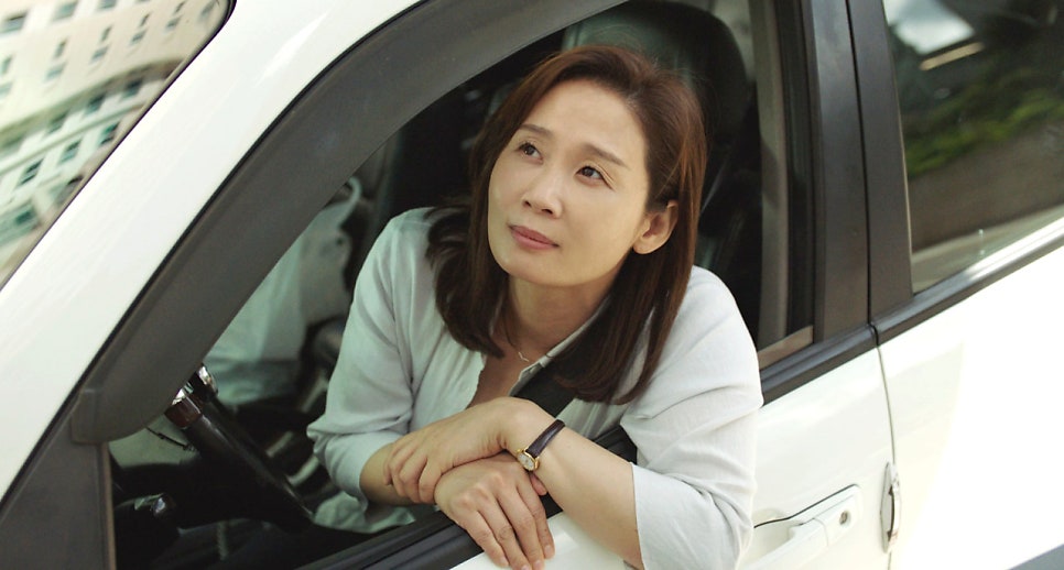 드림정보주 이미지