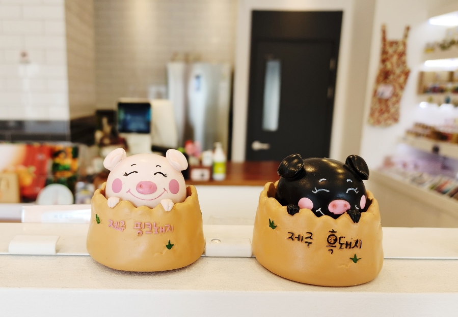 한라봉 잇수다 이미지
