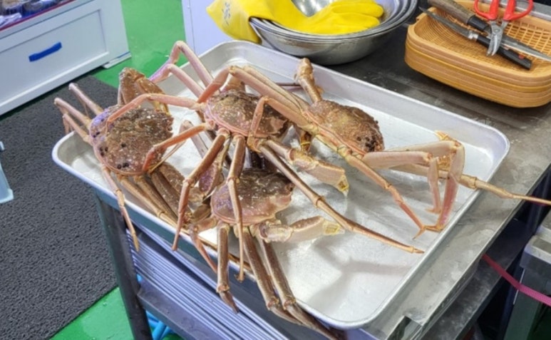 청담물회 이미지