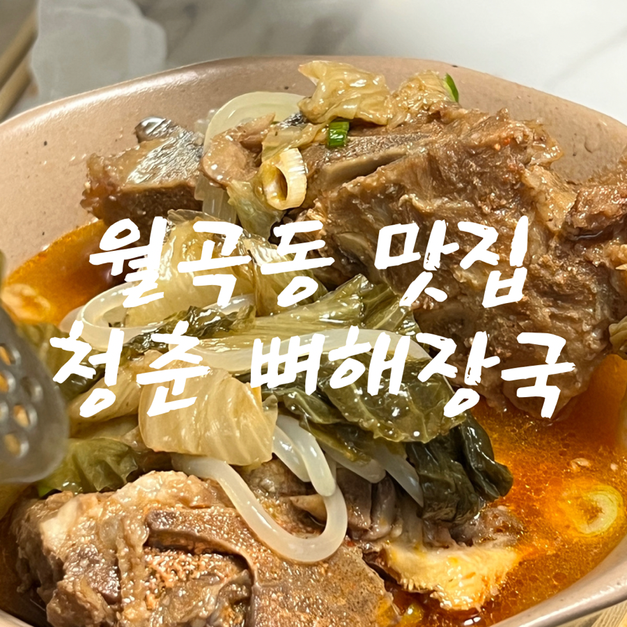 청춘뼈해장국 이미지