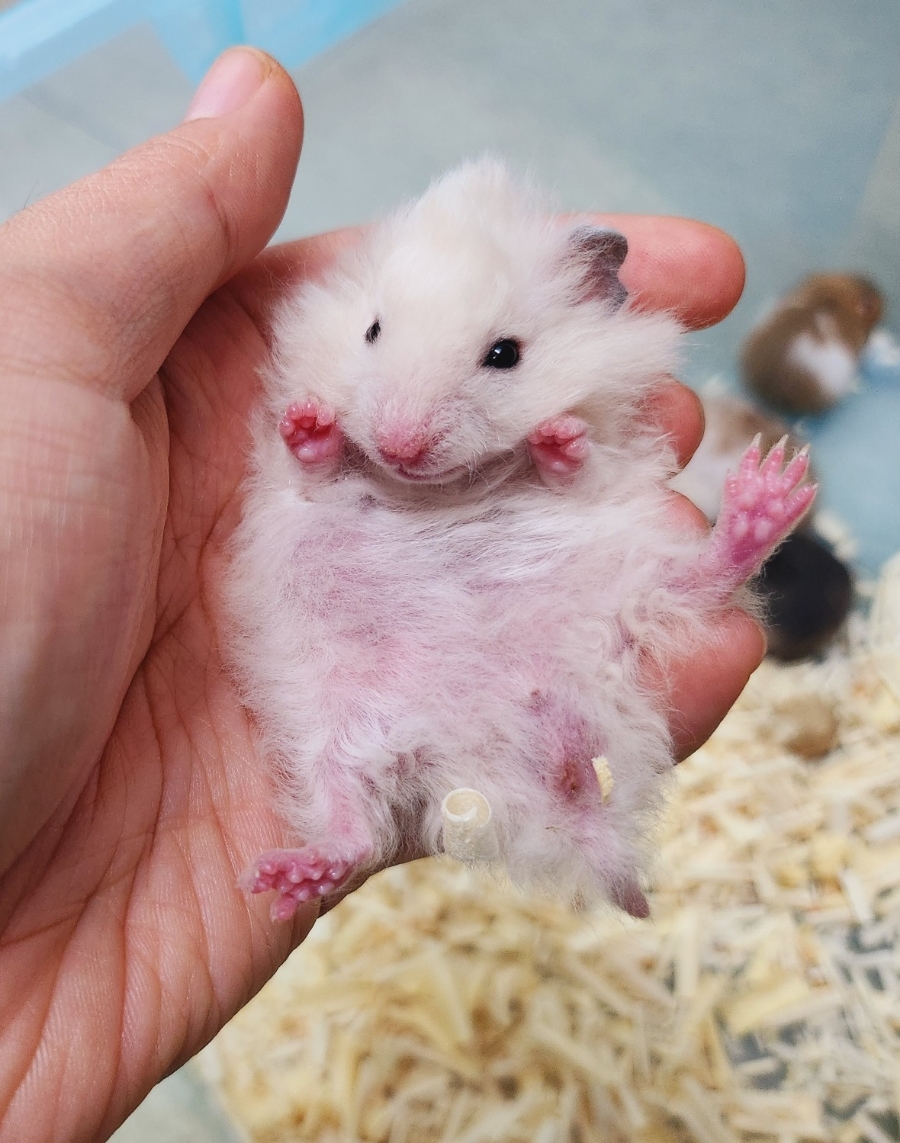(주)모프 이미지