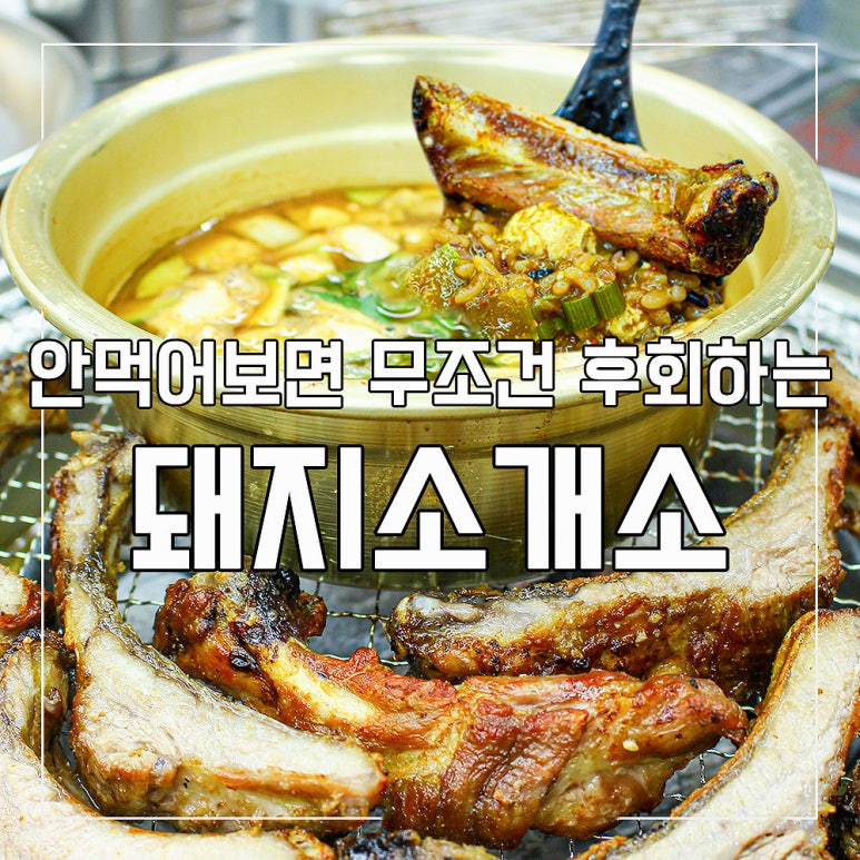 돼지소개소 이미지