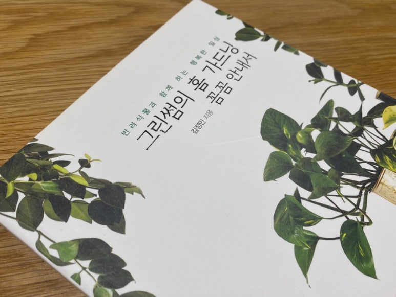 더그린썸 이미지