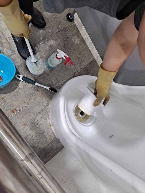 초아클린 이미지