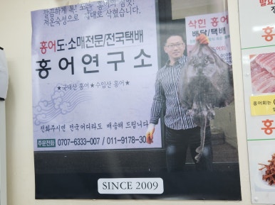 도씨네홍어 이미지