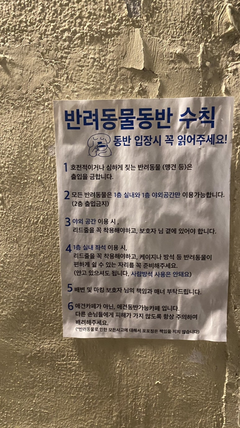 애견카페 포 이미지