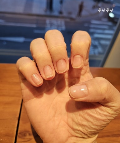 도씨네일 이미지