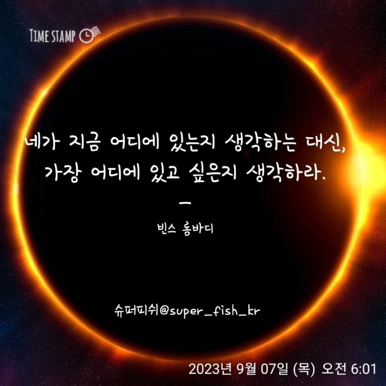 빈스피쉬 이미지