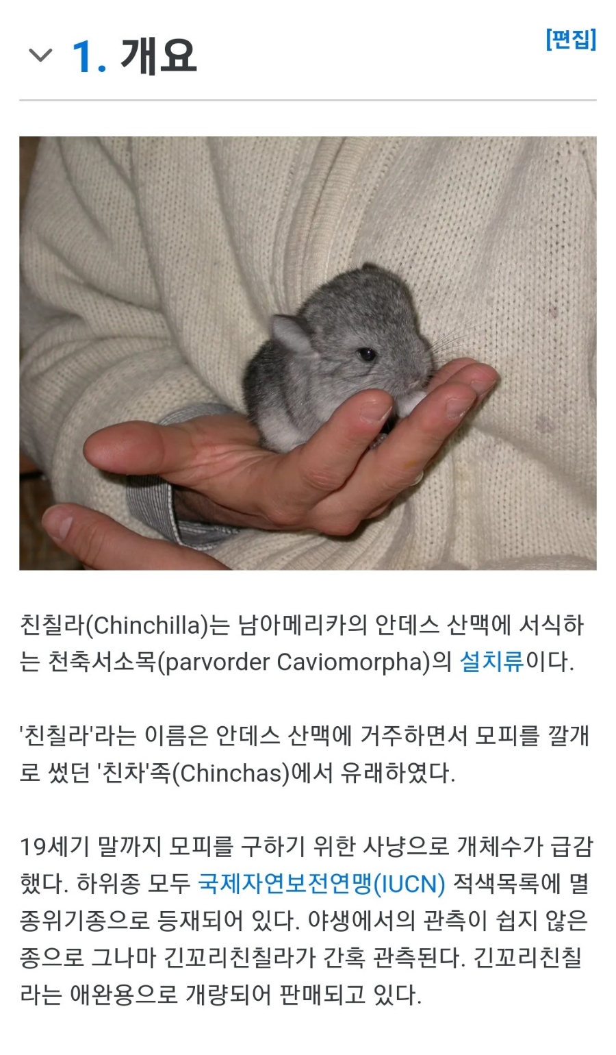 드왕 이미지