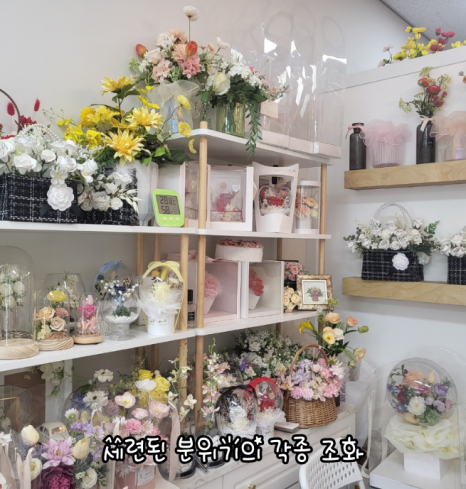 꽃그리다바이엘라 이미지