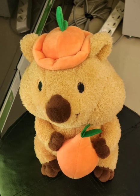 또또동전노래연습장 이미지
